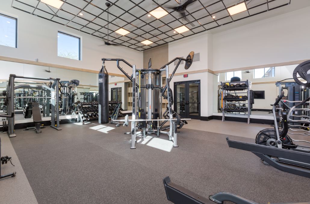 Modern gym at Home - Lake Cameron with various exercise equipment, including weight machines, free weights, cardio machines, and a punching bag in a spacious, well-lit room with large mirrors and windows.