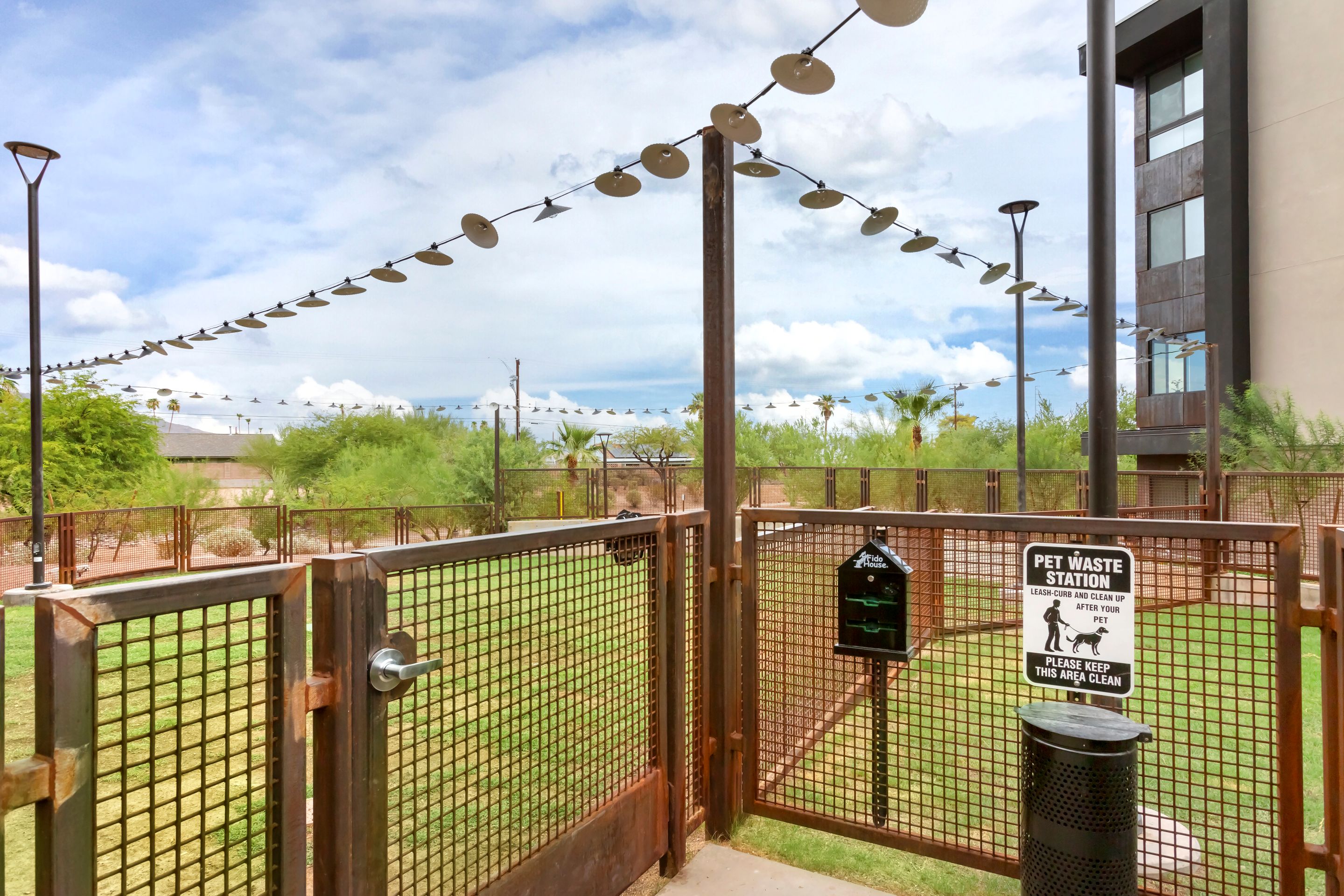 Fenced dog park area with grass, a pet waste station, and a trash bin; string lights overhead and a building visible on the right in the Home - Lake Cameron community.