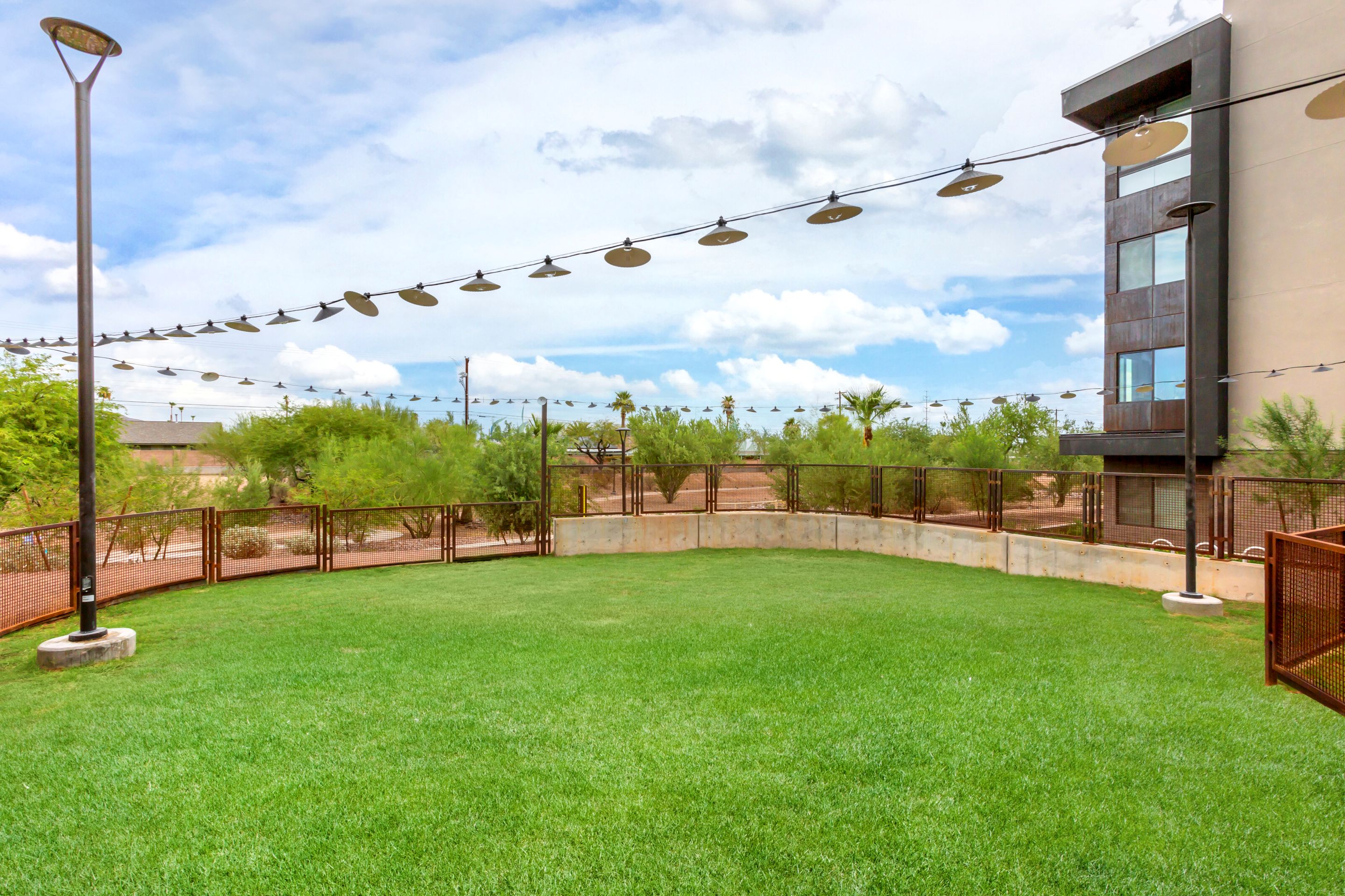 A fenced grassy area with overhead string lights, bordered by trees and a modern building at Home - Lake Cameron, under a partly cloudy sky.