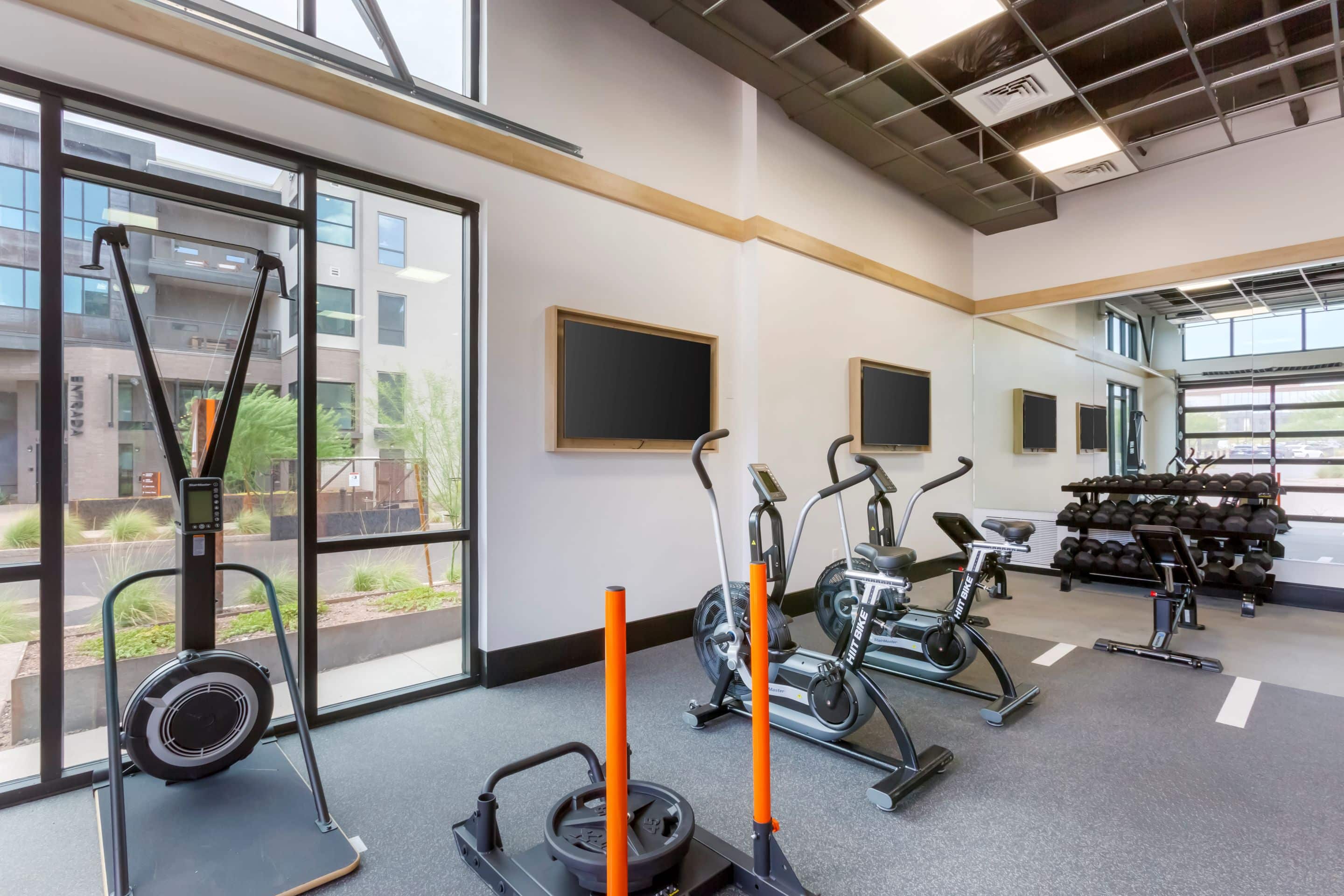Modern gym at Home - Lake Cameron featuring exercise bikes, a rowing machine, weights, and large windows for natural light; flat-screen TVs are mounted on the walls.
