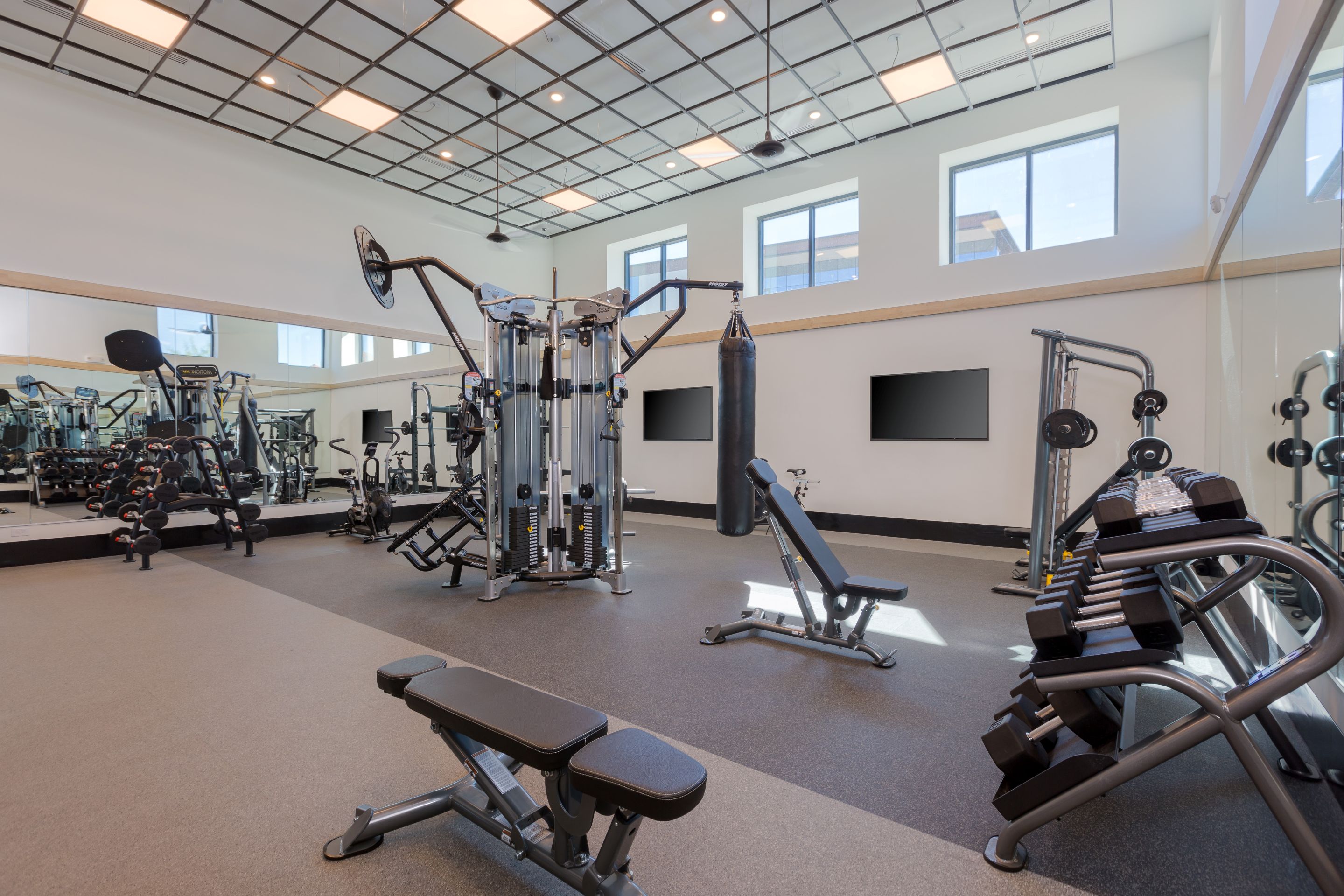 Modern gym at Home – Lake Cameron with various exercise equipment, including weight machines, free weights, benches, a punching bag, and large mirrors on the wall.